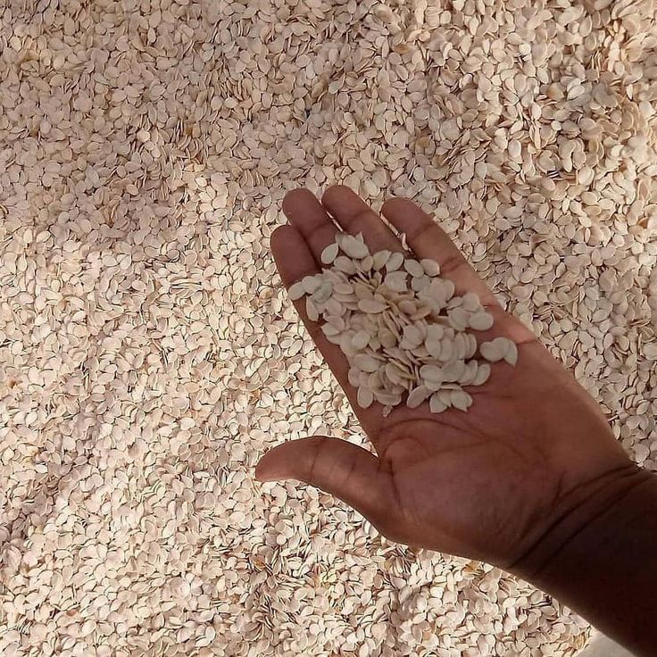 egusi