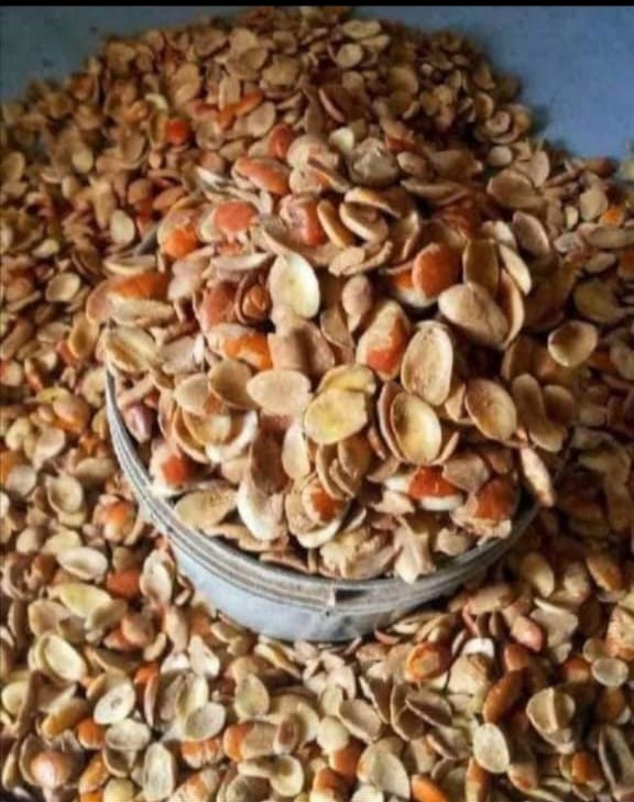 ogbono