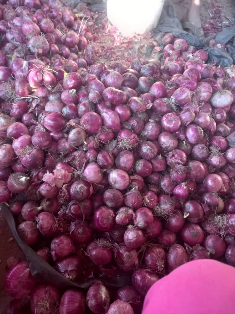onions